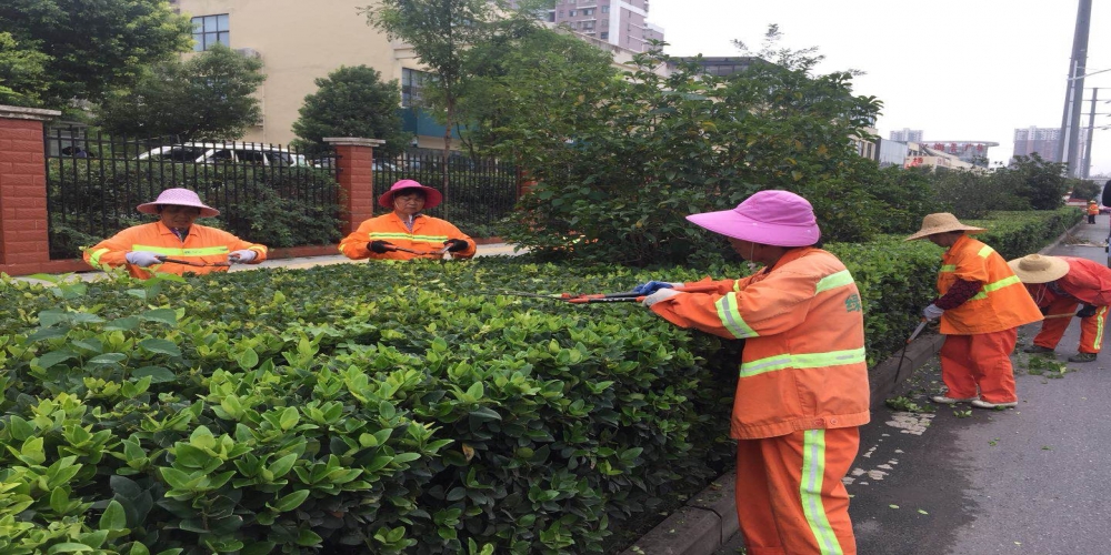 新站區(qū)道路清掃保潔、綠化管養(yǎng)項(xiàng)目